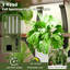 Support pour plante 64,8 po