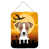 Jack Russell Terrier 2