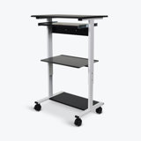 Maarya Adjustable Metal Base Standing Desk