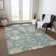 Machine Washable Indoor/Outdoor Cicel ACN1154 Sage Rug