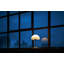 Pensee LED Table Lamp-1315721234