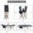 33" Oversized Folding Cot with Carry Bag for Indoor & Outdoor Use, Dark Gray