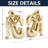 Gold Book Ends, Girl Thinker Design