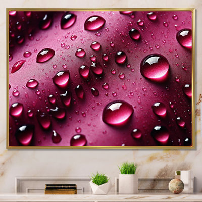 " Red Rose With Raindrops X "