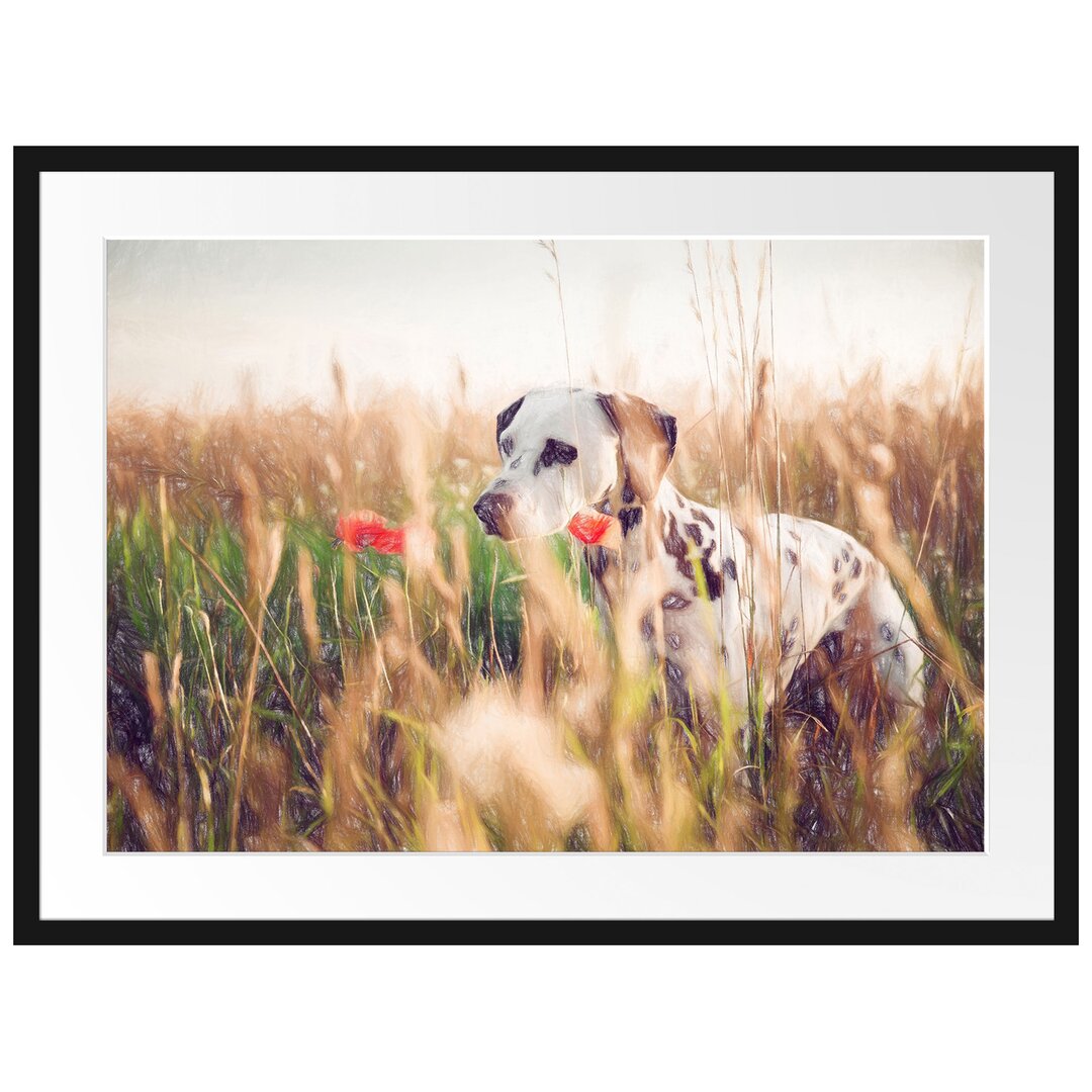 Gerahmtes Poster Neugieriger Hund im Feld