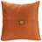 20" x 20" Indoor Throw Pillow