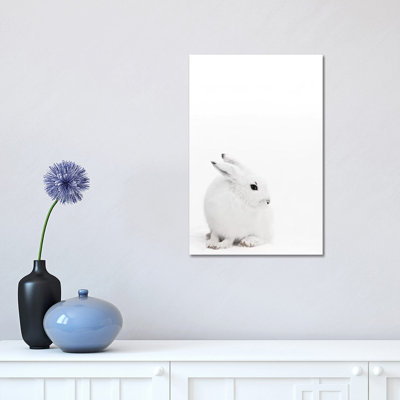 Arctic Hare I 1 Piece Wrapped Canvas Wall Art