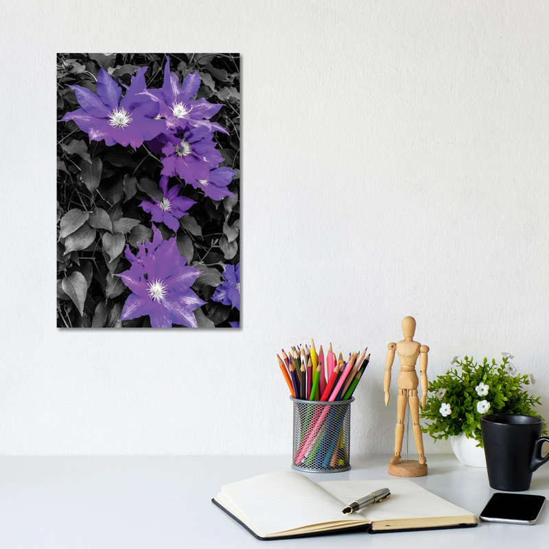 Purple And Grey Clematis by Heidi Bannon - Wrapped Canvas Print, 30.48cm H x 20.32cm W x 1.905cm D