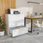Karanfila 35.43'' Wide 3 -Drawer Steel File Cabinet-1090046165