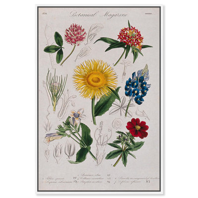 Art Remedy, impressions sur toile, sept plantes de jardin
