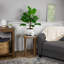 Grande plante verte en pot 30 po Calathea