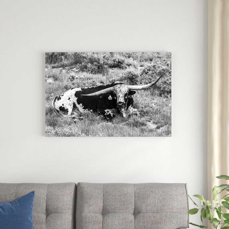 B&W Longhorn I, H 24 po x l 36 po x P 1,25 po