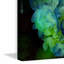 Colleen Taylor - Wrapped Canvas Print-22302240