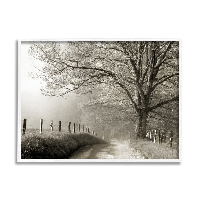 Sentier clôturé de paysage champêtre par Danita Delimont - photographie, H 16 po x l 20 po x P 1,5 po