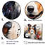 «Popart Shetland Sheepdog Portait I», reproduction sur toile-466139126-466139127
