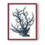Coral Souvenirs IV, reproduction encadrée - bois massif-1110308026-1110308030