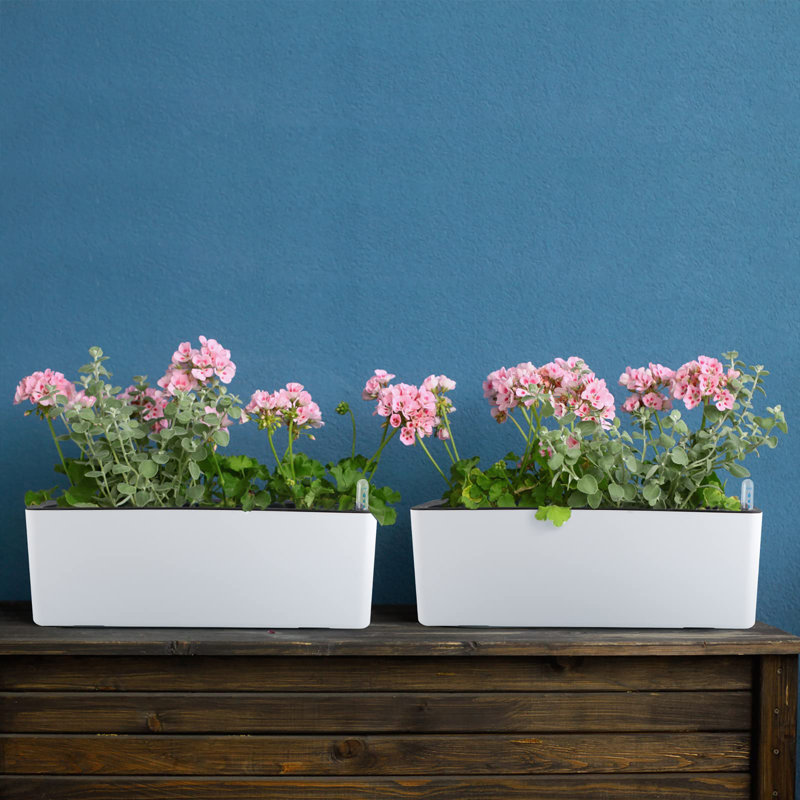 Planter Box