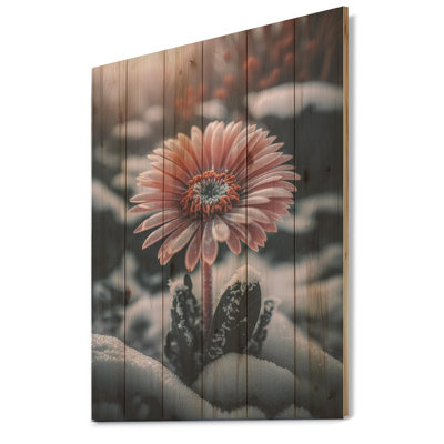 Une fleur de gerbera rose en hiver II - impression sur toile