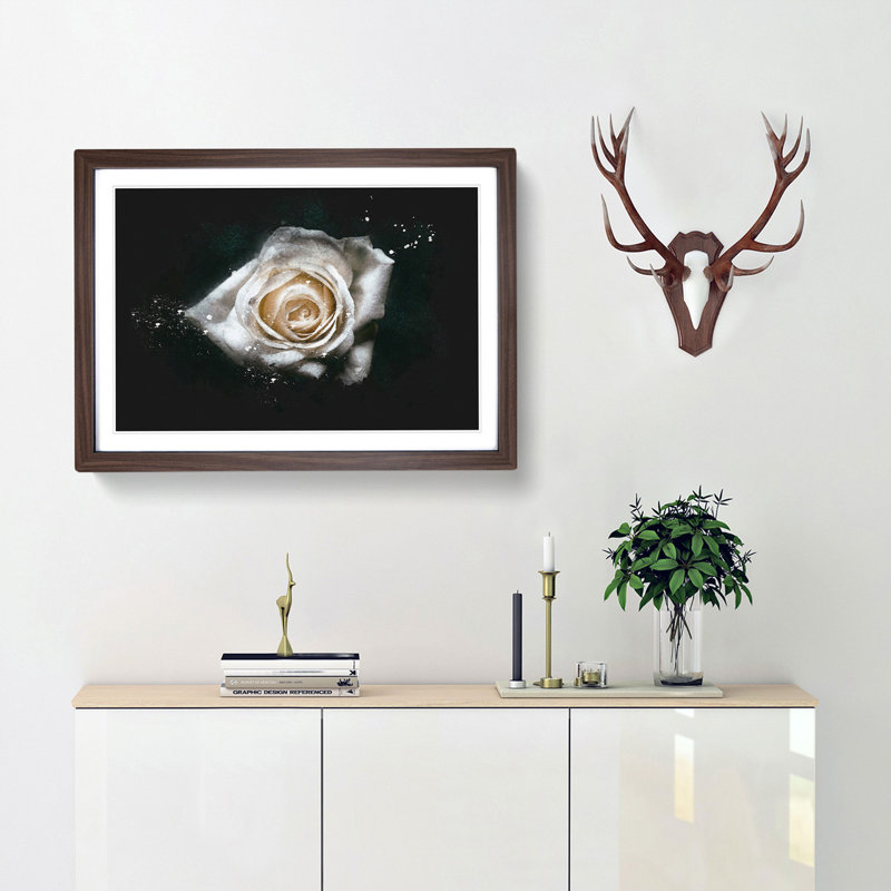 A White Rose - Picture Frame Graphic Art Print, 60cm H x 91cm W x 2cm D, Walnut Framed