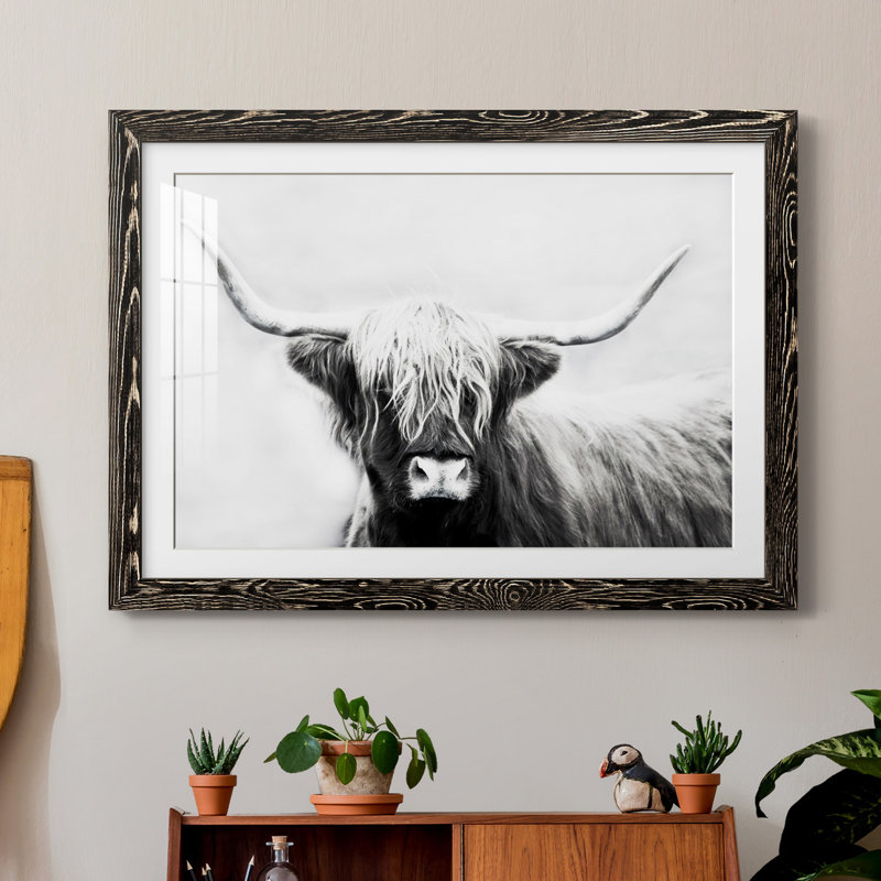 Seifert Longhorn - Reproduction de cadre photo sur papier, H 27,5 po x l 37,5 po x P 1,5 po, Papier encadré noir