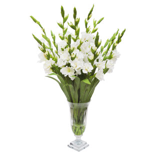 Gladiolus Arrangement in Vase