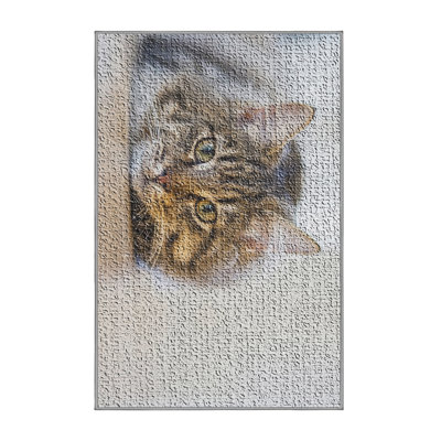 Indoor Rug
