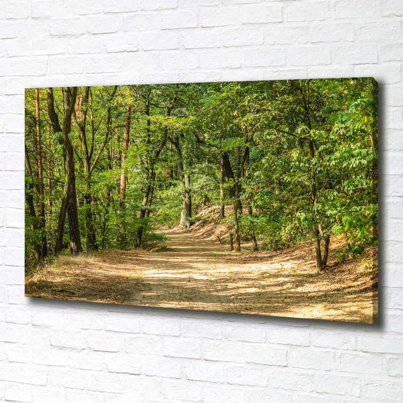 Forest Track - Wrapped Canvas Print