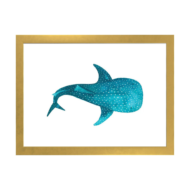 Requin baleine II - impression, Papier encadré doré, Blanc, H 16 po x l 24 po x P 1 po