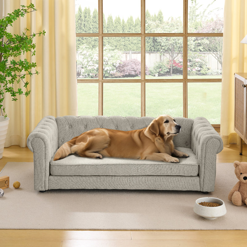 Élégant lit pour animaux de compagnie rectangulaire pour chiens grands et surdimensionnés, canapé-lit surélevé durable, canapé pour chien confortable, canapé pour chien en lin moderne et tendance - beige