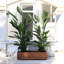 Handmade Wood Planter Box-426472157-432120810