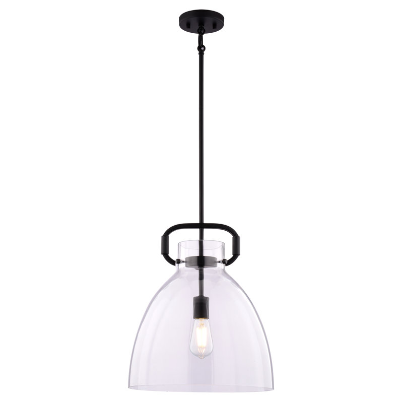 Aleyla 1 Light Contemporary Pendant Light Clear Glass, Black