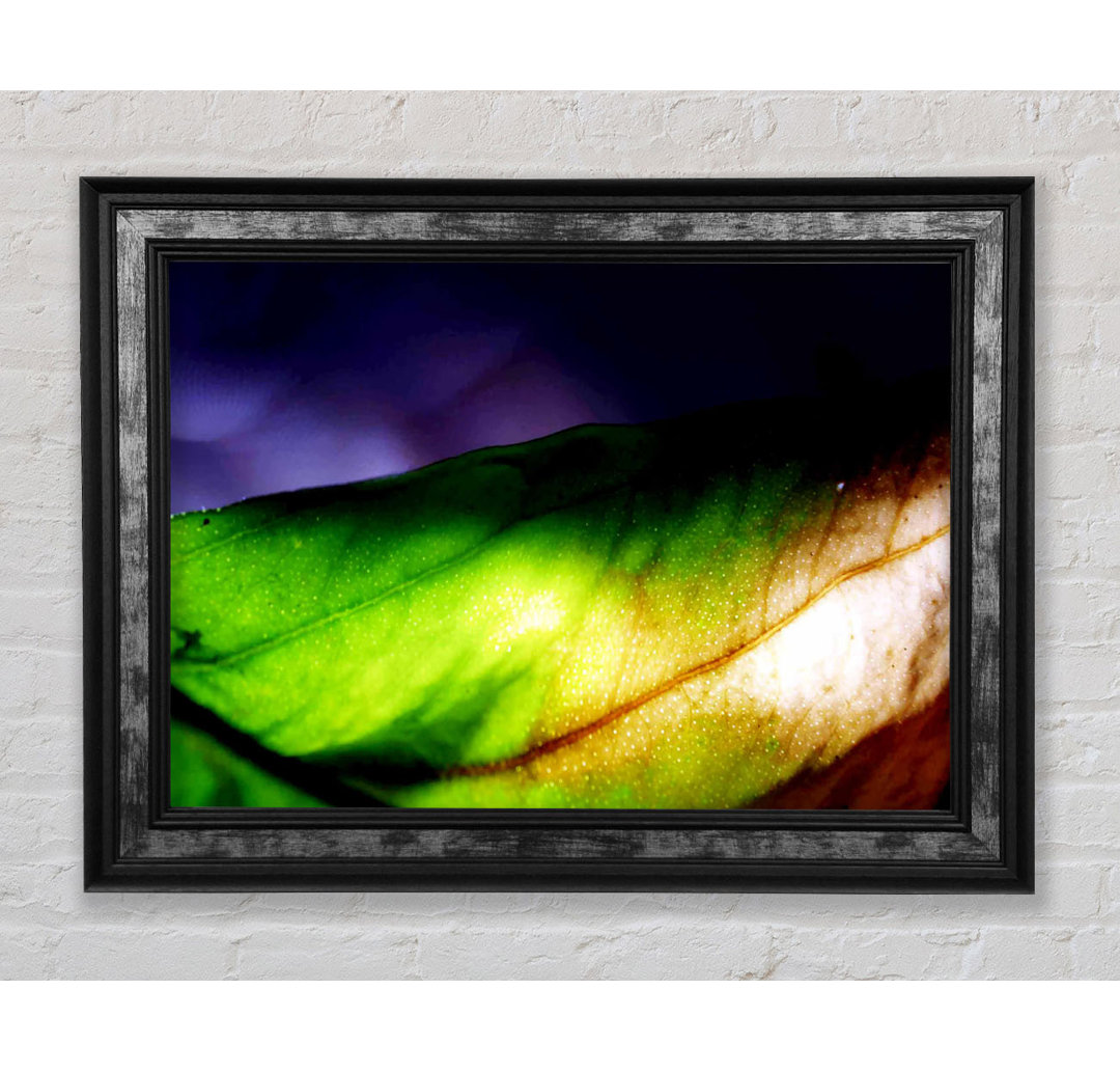 Vibrant Green Leaf Light - Druck