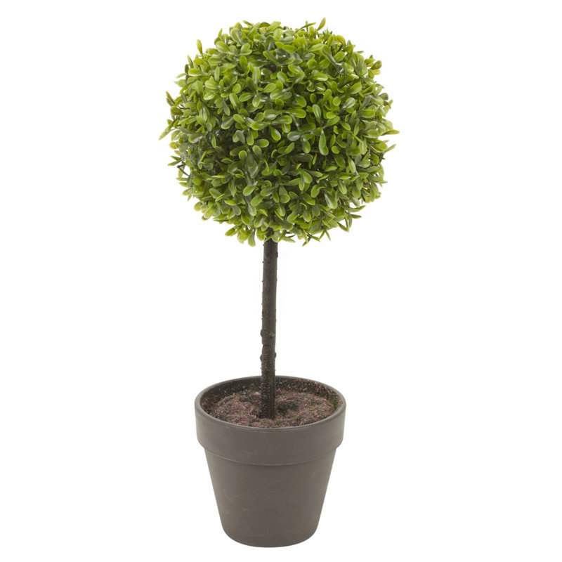40cm Faux Boxwood Plant in Planter, Black