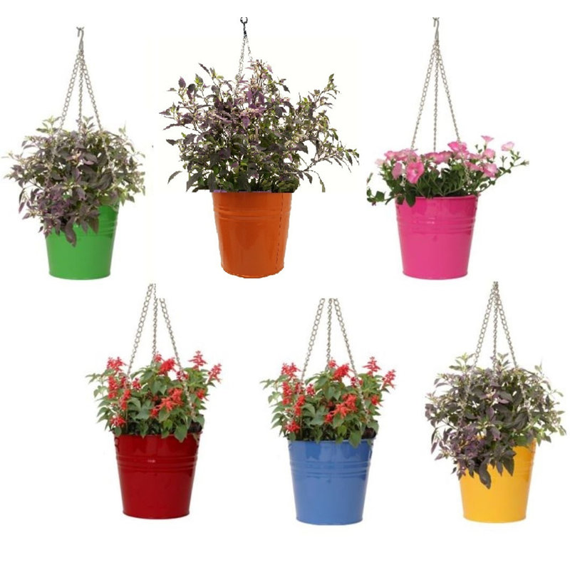 Azriel Metal Hanging Planter