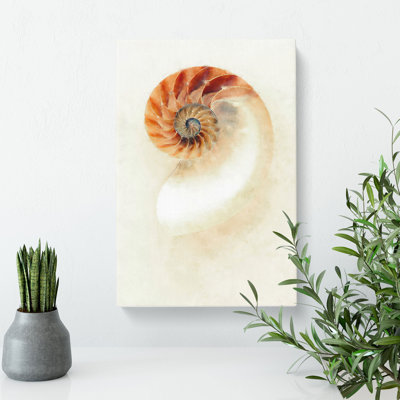 Mother Of Pearl Shell - Wrapped Canvas