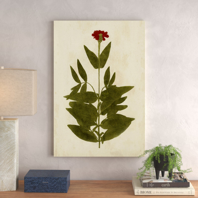 Botanical Impression IV - Painting Print, Wrapped Canvas, 91cm H x 61cm W