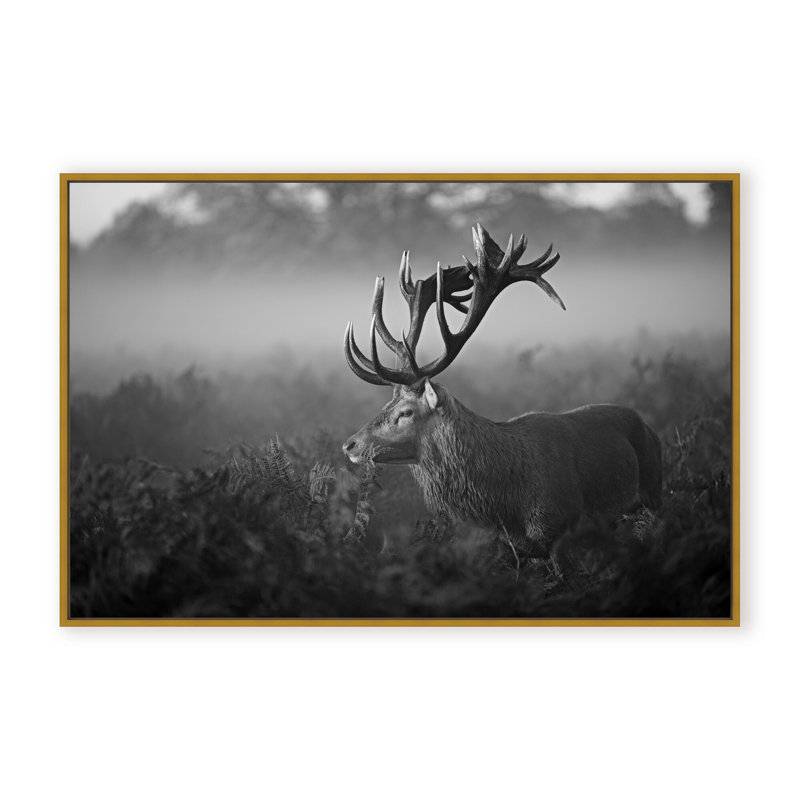 Nature Inspired Sunny Morning by  - Picture Frame Photograph on Paper, 16" H x 24" W x 1.125" D, Framed Print, Gold