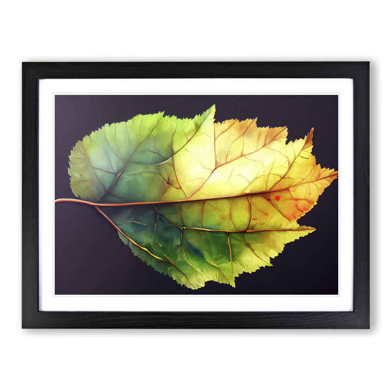 Thrilling Leaf - Single Picture Frame Print, 46cm H x 64cm W x 2cm D, Black Framed