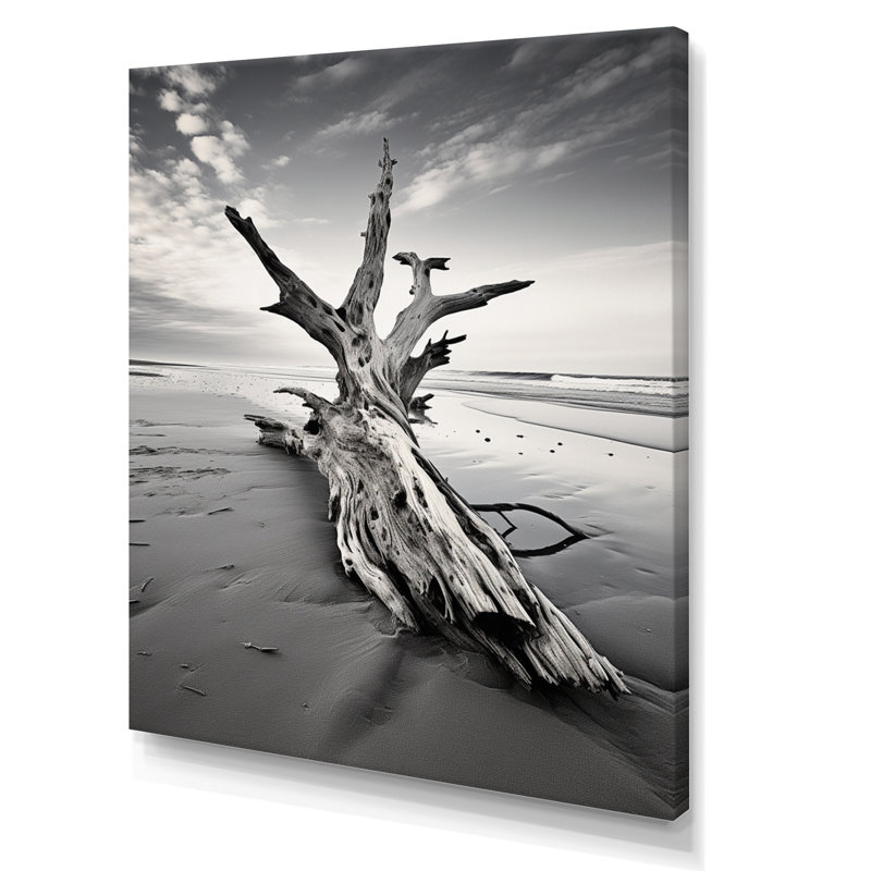 Plage de bois flottant photo III, H 44 po x l 34 po x P 1,5 po, Toile tendue
