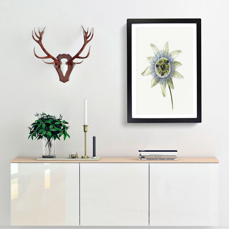 Passion Flower by Jean Bernard - Picture Frame Painting Print, 48cm H x 36cm W x 2cm D, Black Framed