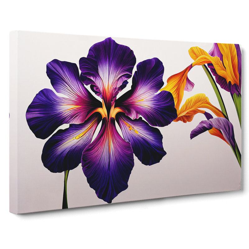 Brilliant Iris Flowers - Wrapped Canvas, 50cm H x 76cm W x 3cm D