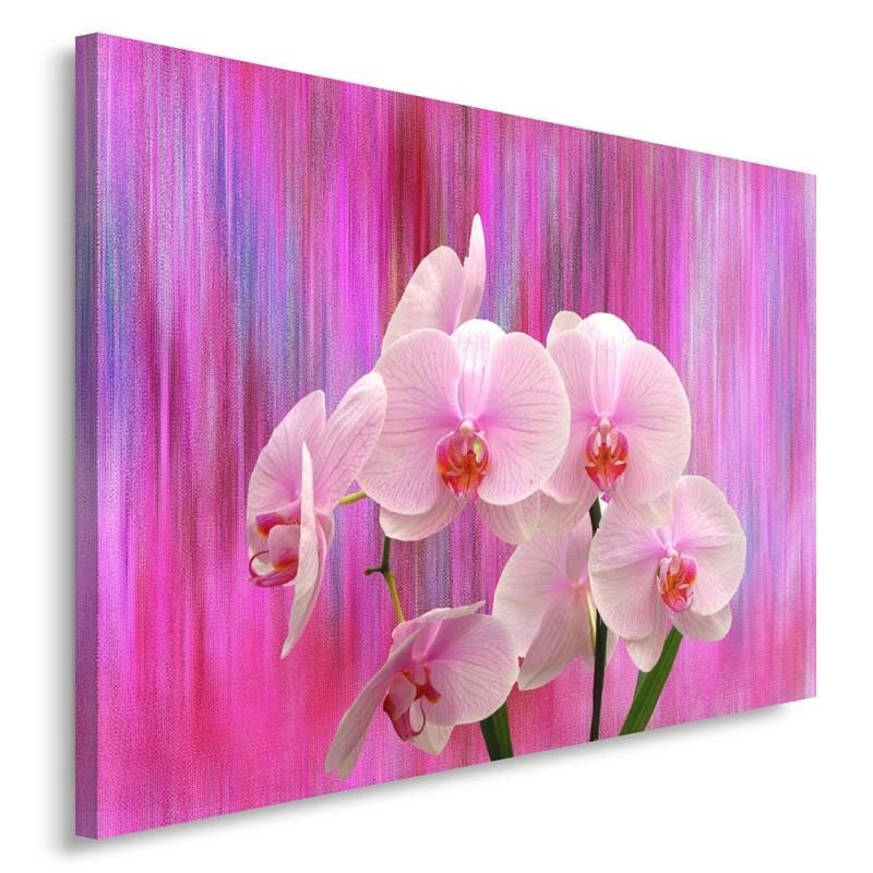 Leinwandbild Orchideen 11