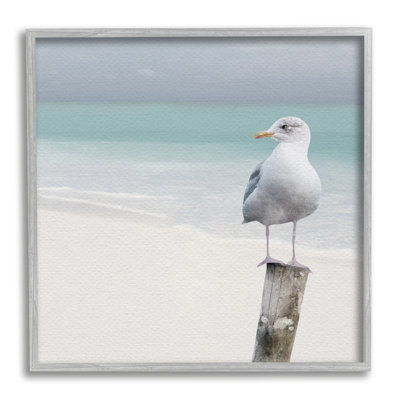 " Seagull Perched By Shore "