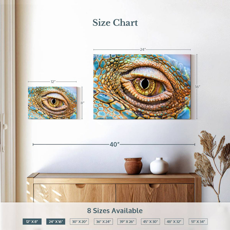 Crowle Iguana Eye, H 16 po x l 24 po
