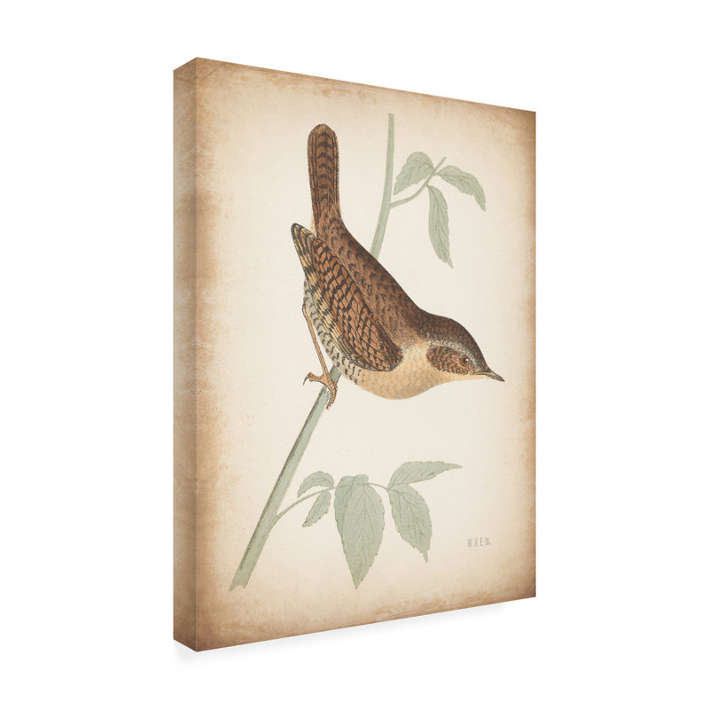  Art mural sur toile, "Wild Apple Portfolio", H 19 po x l 14 po
