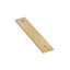 Art Deco Pull Backplate