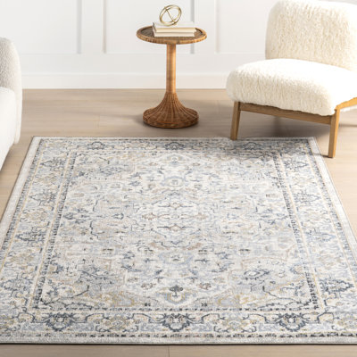 Cady SpinClean Machine Washable Transitional Area Rug