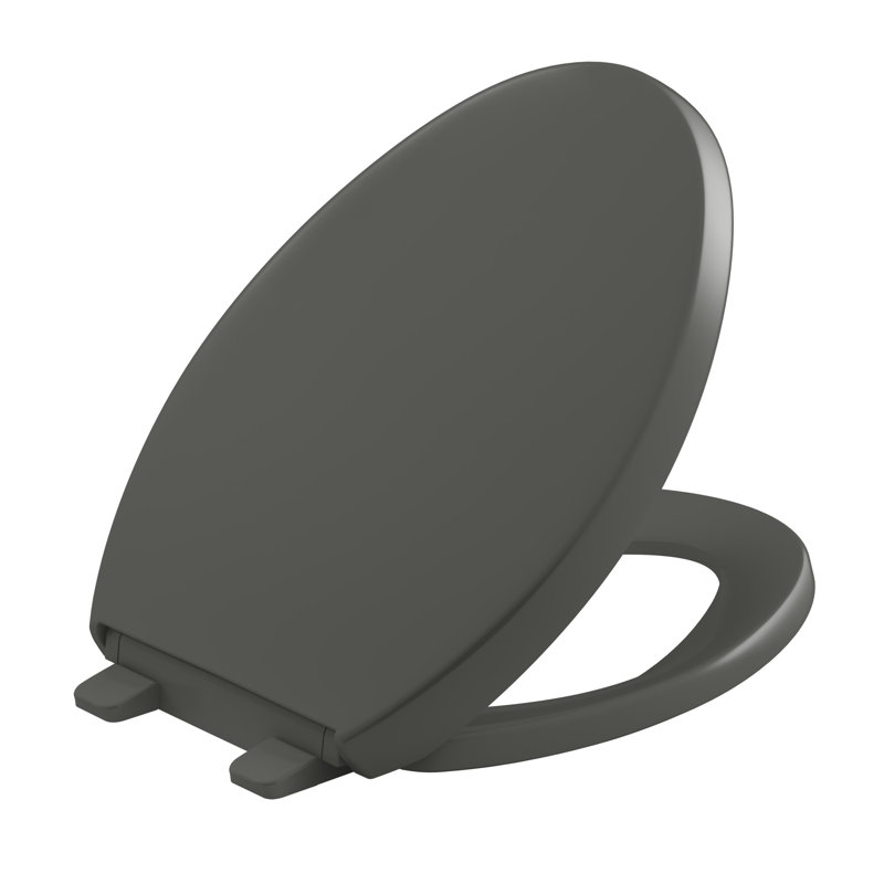 Reveal Quiet-Close with Grip-Tight Toilet Seat, Thunder Gray, Elongated