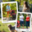 Foldable Pet Pet Stroller