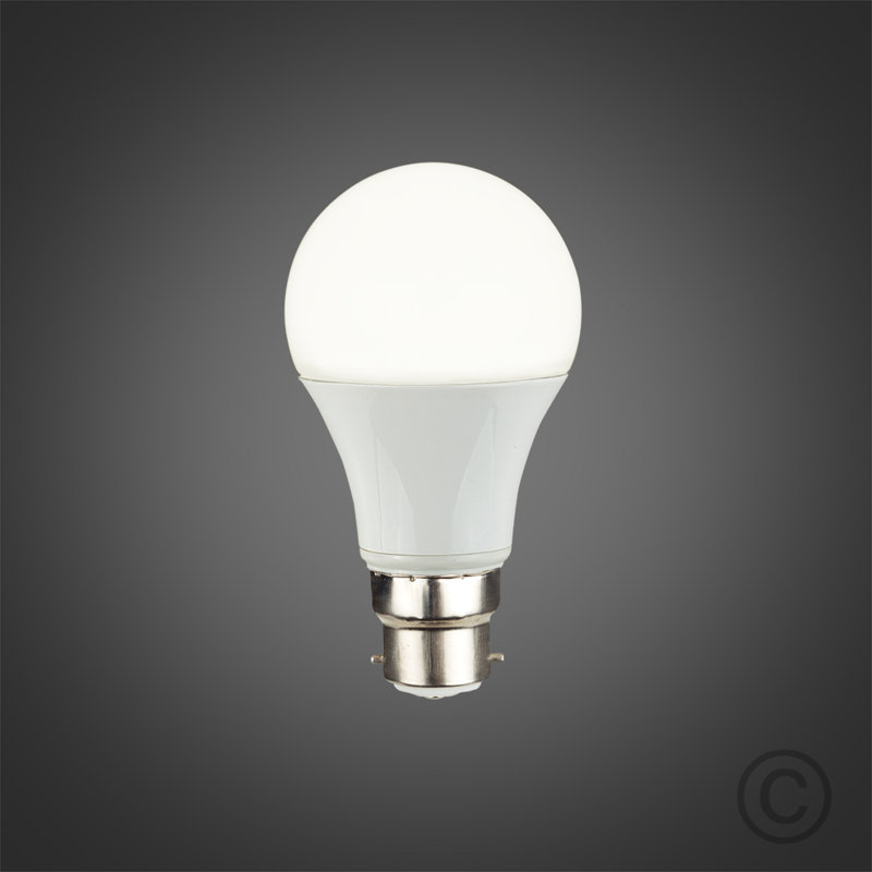 Shuler 6W A19 LED Light Bulb, Cool White